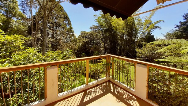 A wooden balcony with a view of a lush garden and tall trees. - Casa Jade (Rionegro)