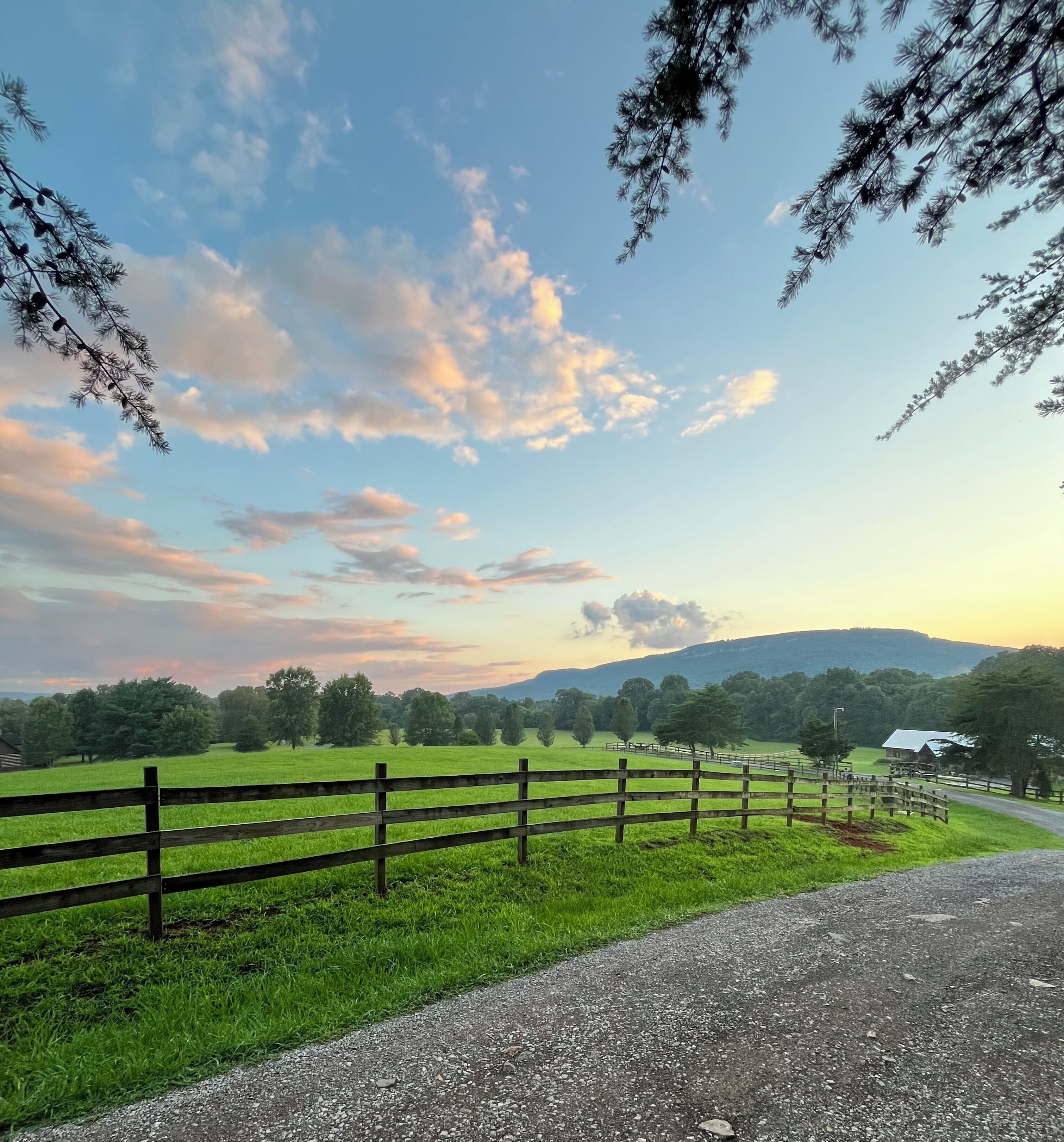 "Fox View Cottage" Stunning Views, Pet-Friendly, Wheelchair Accessible