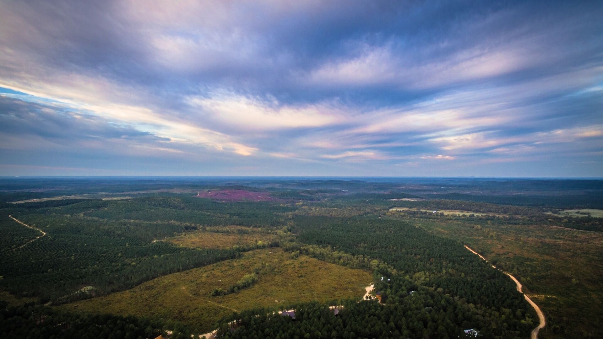 An aerial view of a forested landscape with a winding road and scattered buildings.