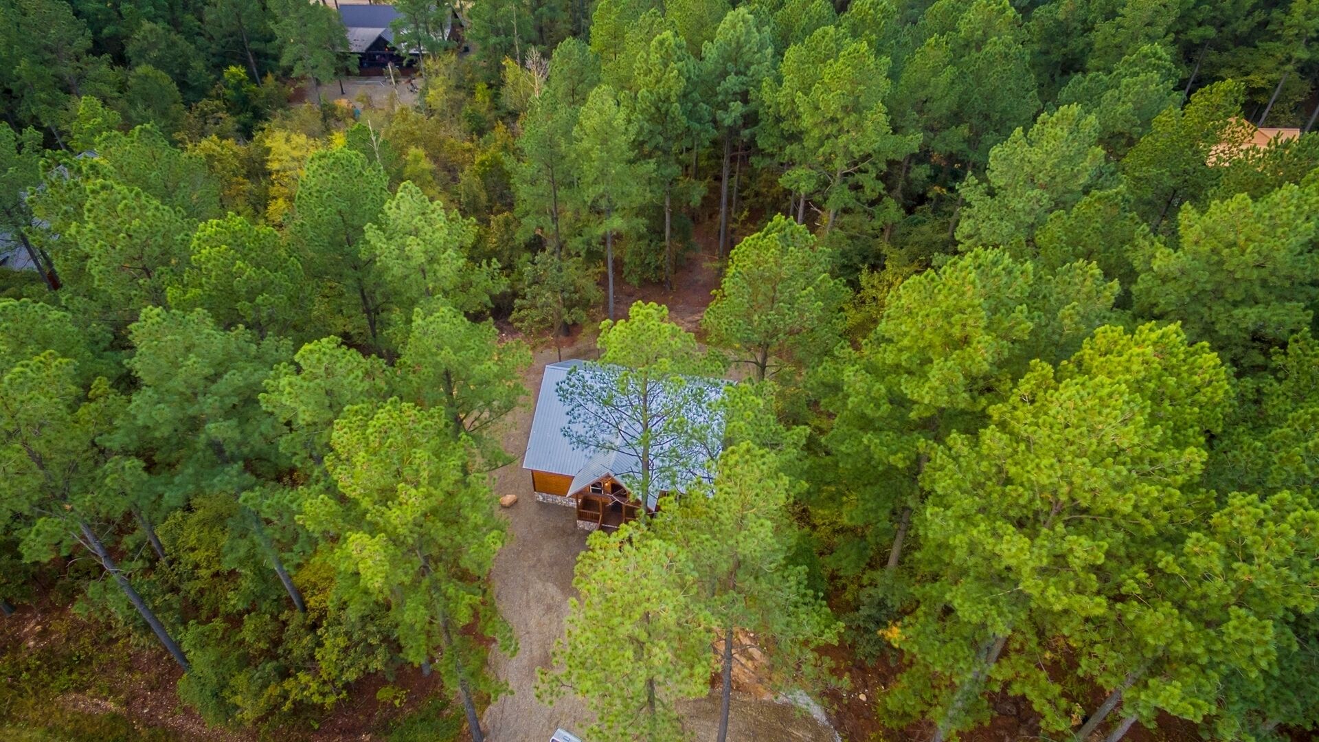 An aerial view of a cabin surrounded by dense forest.