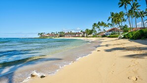 A beach with clear blue water, sandy shore, and a row of palm trees. - Poipu Beach Kauai Honeymoon : View Sea Turtles from Your Oceanfront Deck-AC (Koloa)