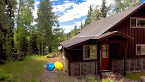 A rustic wooden cabin with a metal roof, surrounded by a forest. - Lakeside Adventurer's Cabin (Durango)