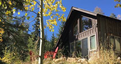 Lakeside Adventurer's Cabin