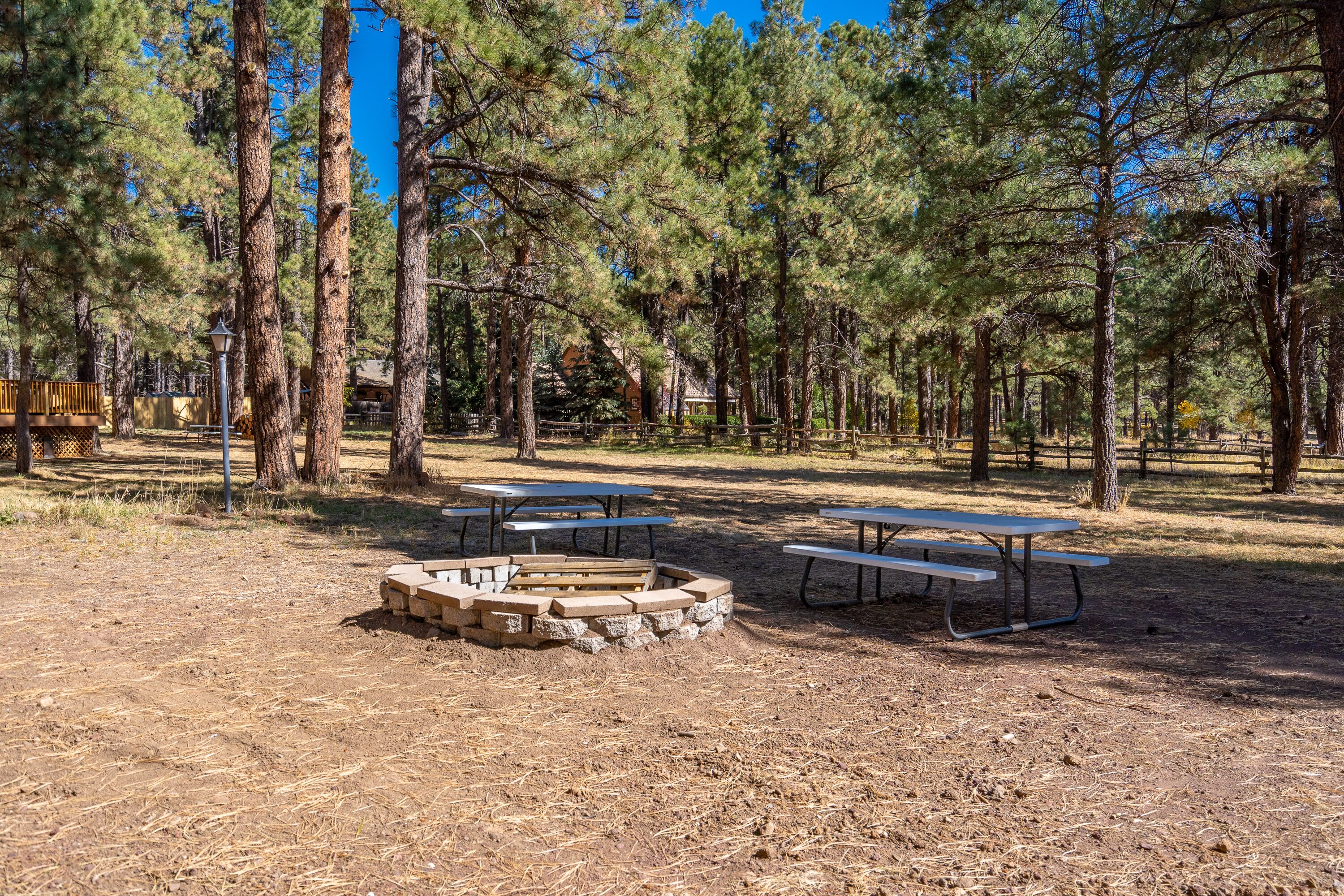A campground with picnic tables and a fire pit surrounded by tall pine trees.