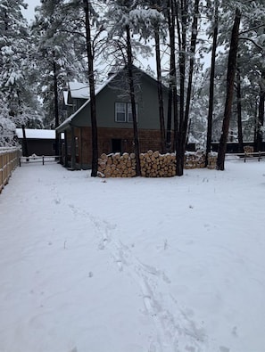Cabin surrounded by snow-laden trees, with a stack of firewood in front.