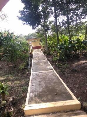Garden - Nice House Natural (Catemaco)