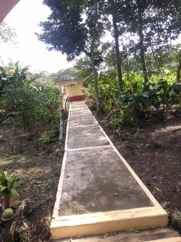 Garden - Nice House Natural (Catemaco)