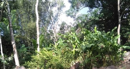 Nice House Natural