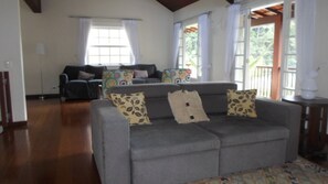 Smart TV, fireplace, DVD player, books