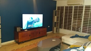 Televisión 