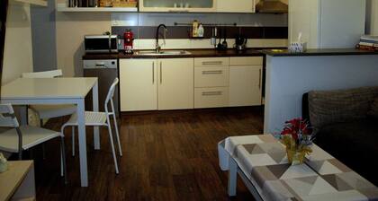 Wohnung in Lieblingsgegend Decin-Letna