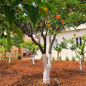 Property grounds - Maria Hotel (Agios Nikolaos)