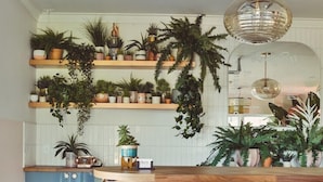 Una cocina con una isla central, taburetes de bar y estantes con plantas.