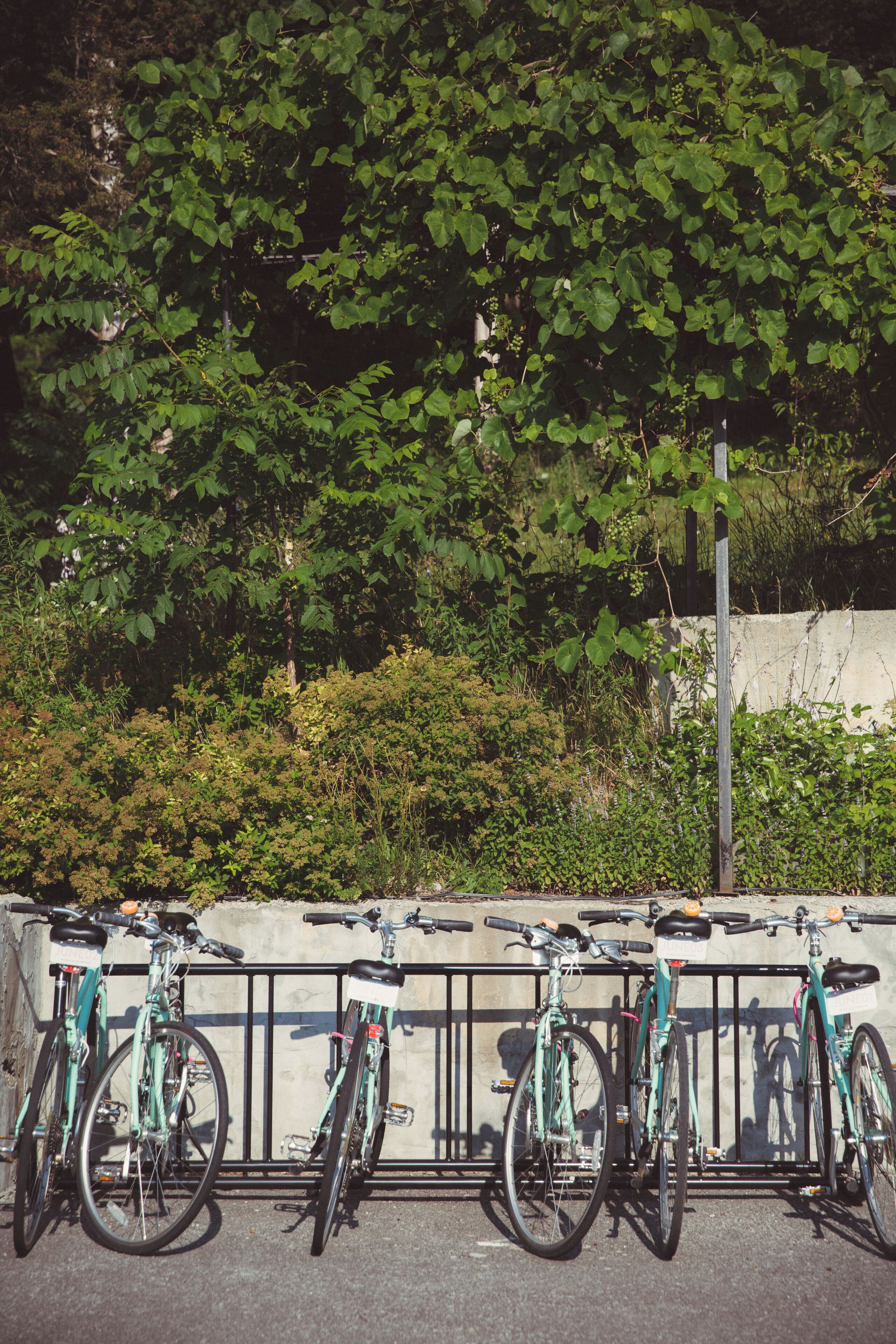Bicycling