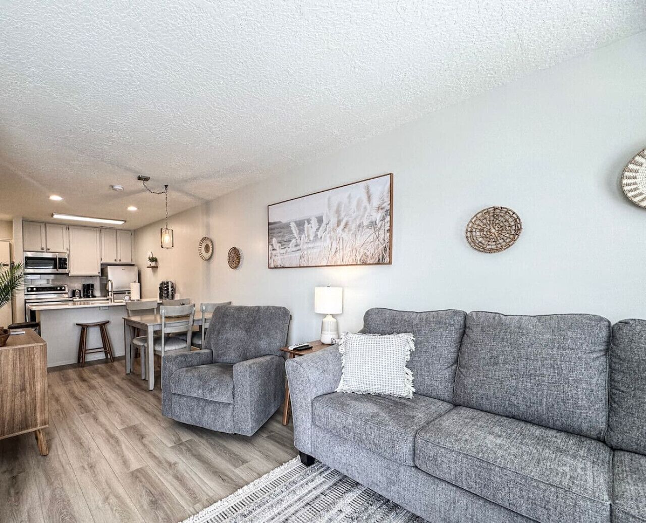 TV connectée, cheminée, lecteur de DVD