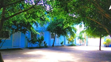 Vườn