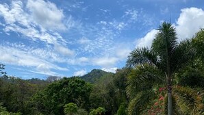 Unclassified image, 5 of 56, button - Tayrona Angel Lodge (Santa Marta)