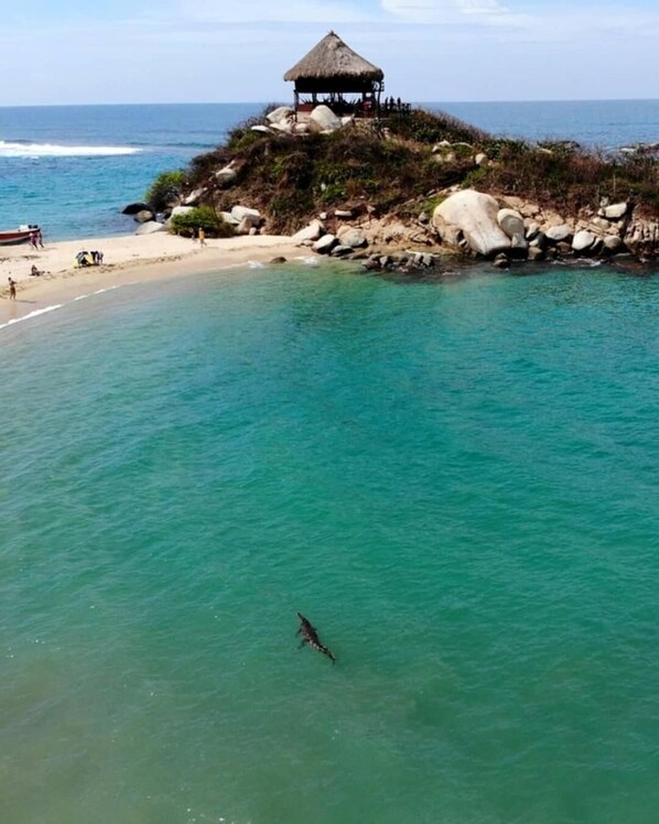 Playa