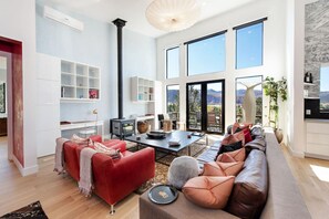 TV, fireplace, books