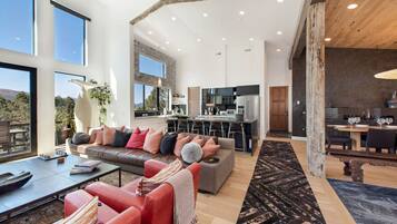 TV, fireplace, books