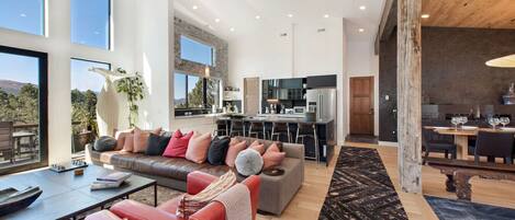 TV, fireplace, books