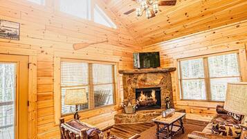 TV connectée, cheminée, lecteur de DVD