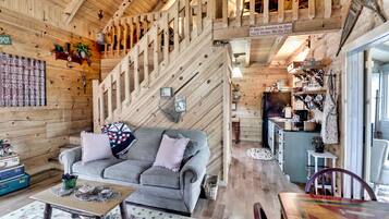 Smart TV, fireplace, DVD player, video library