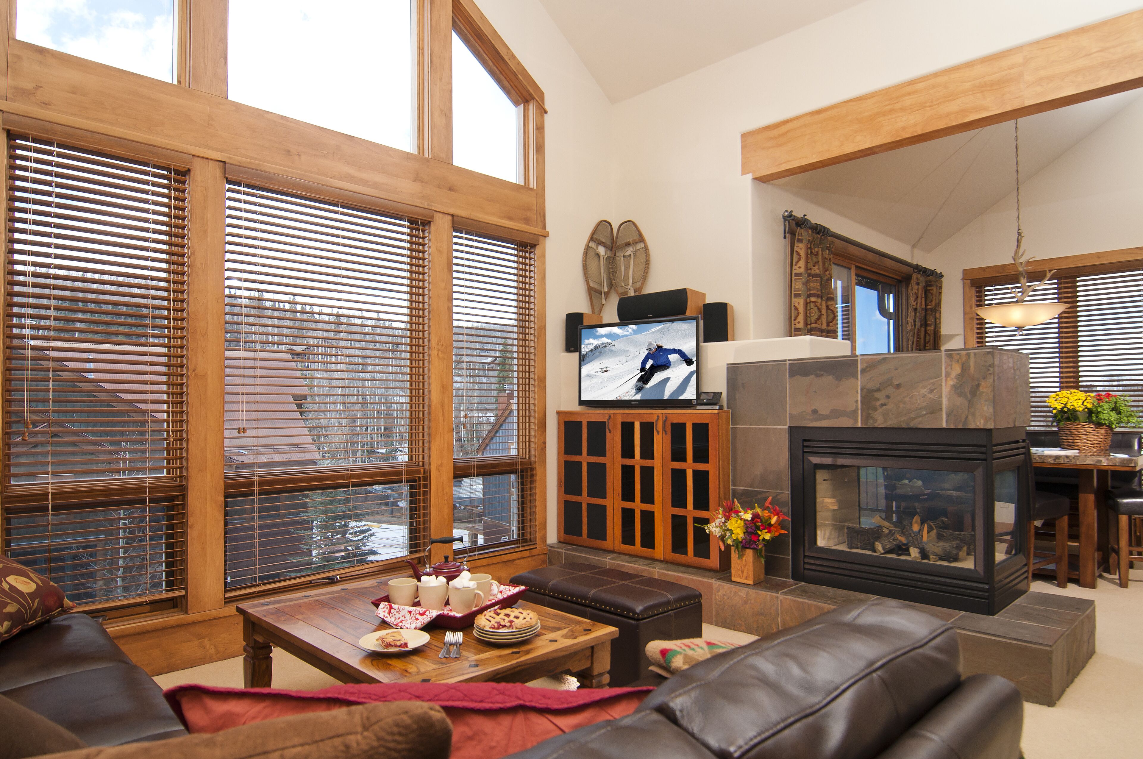 A living room with a fireplace, large windows, and a television.