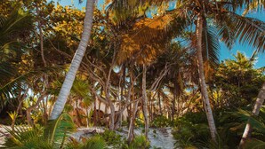 Vila, várias camas (Hacienda Chekul) | Área da propriedade