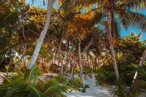 Villa, Multiple Beds (Hacienda Chekul) | Property grounds - Hacienda Chekul (Tulum)