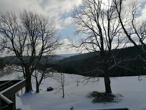 View from room - Gasthof Kreuz am Escheck (Furtwangen)
