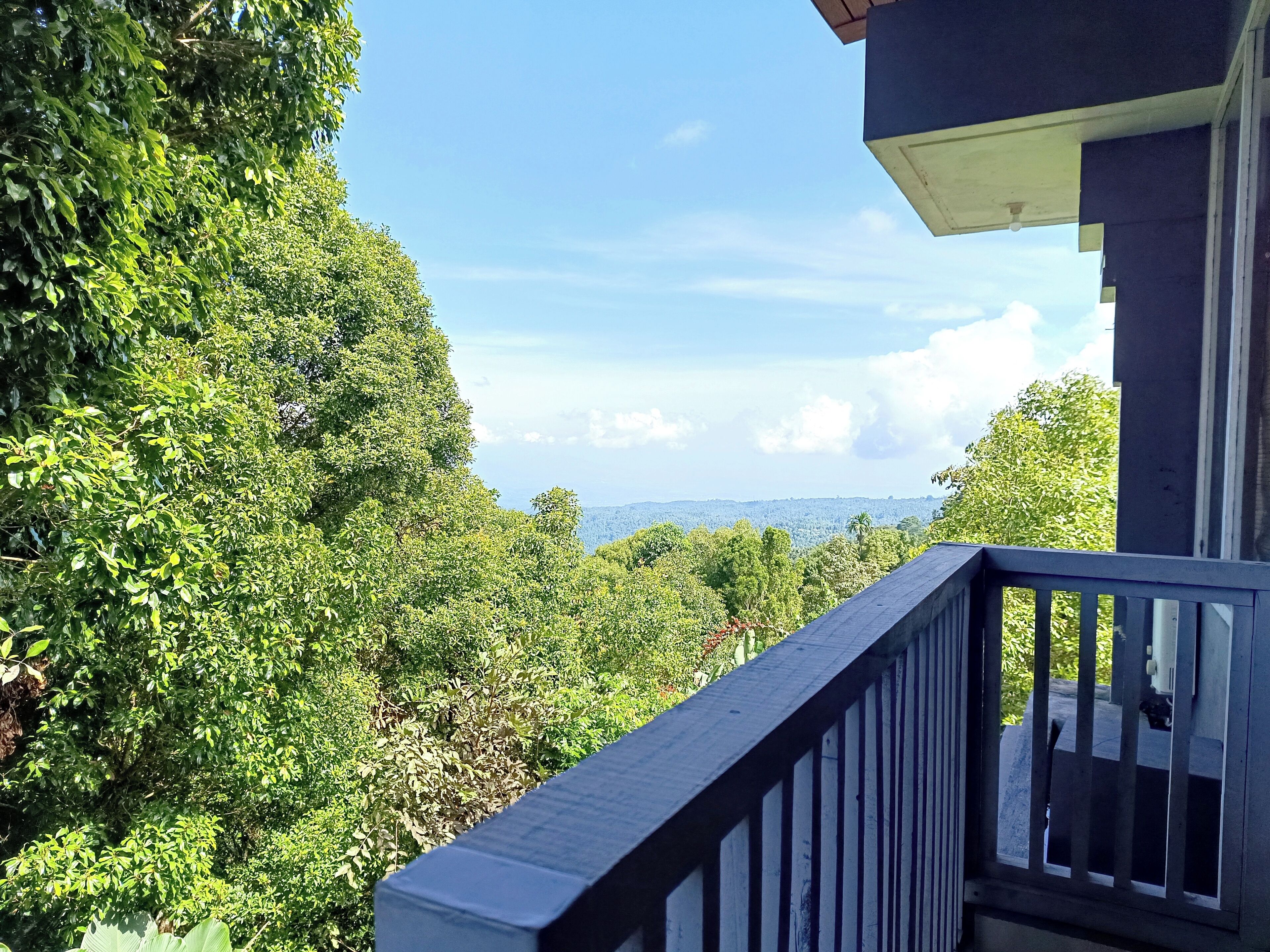 Deluxe Double Room | Terrace/patio