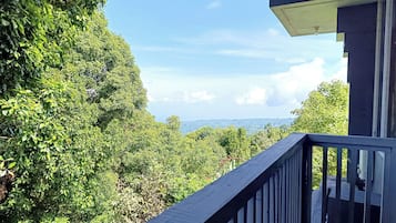 Deluxe Double Room | Terrace/patio