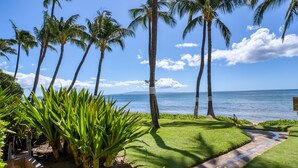 A tropical garden with palm trees and a pathway leading to the ocean.