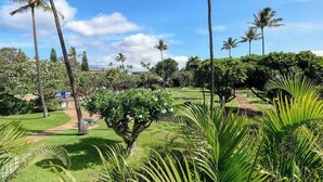 A lush garden with palm trees and a pathway leading to a building. - Spacious Koa Resort Condo, Across Street From Beac (Kihei)