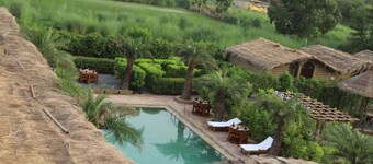 忒彌斯泥屋飯店