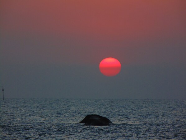 Playa en los alrededores y camastros 