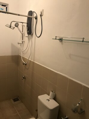 Shower area features a handheld showerhead, handheld shower attachment, and toilet, with a glass shelf above.
