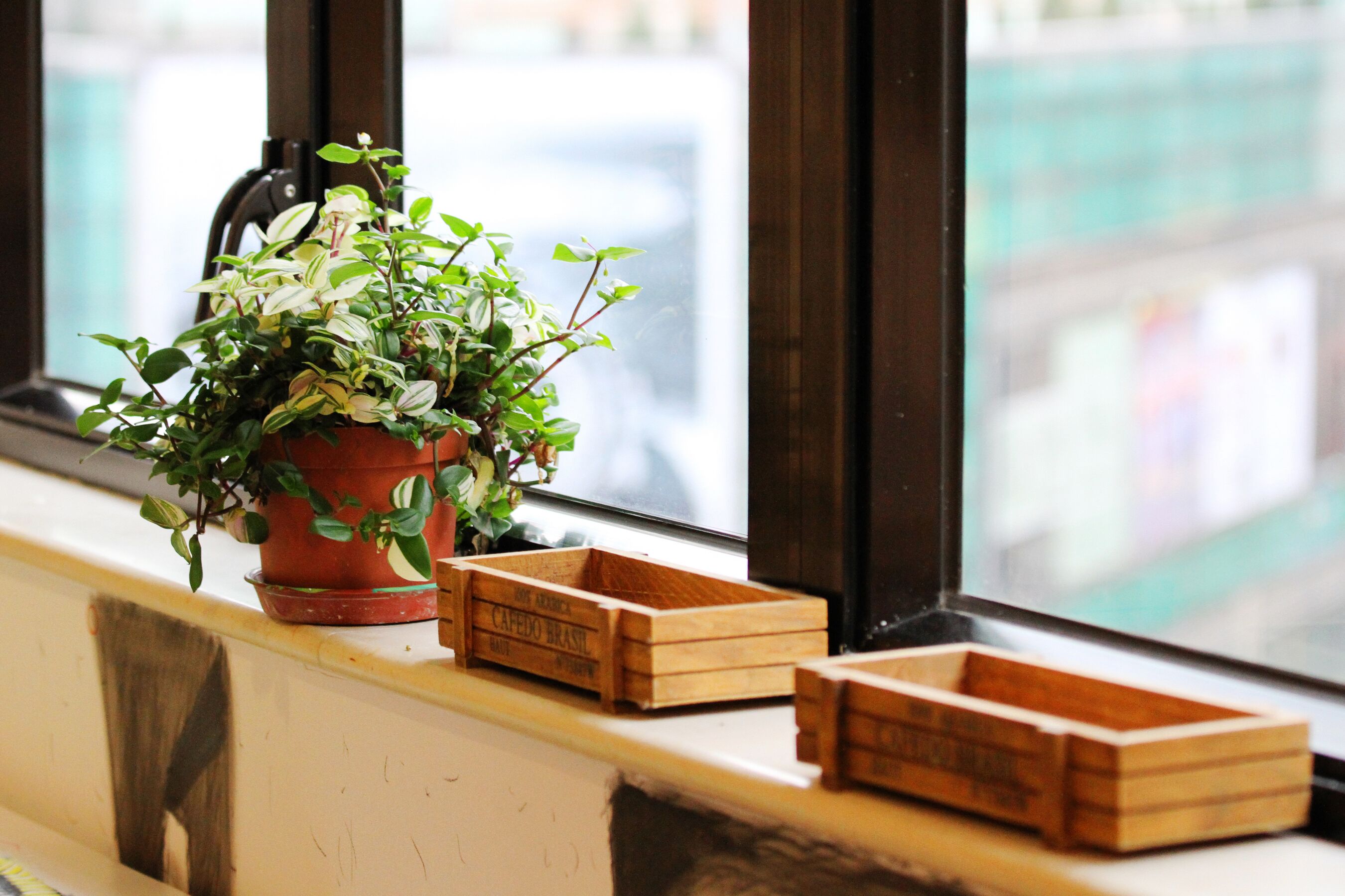 A window sill with a potted plant and wooden crates.