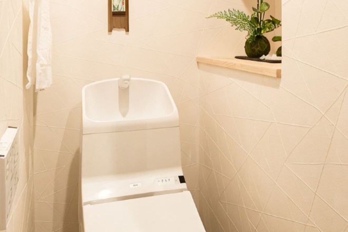 A bathroom with a white sink, a mirror, and a shelf with a plant.