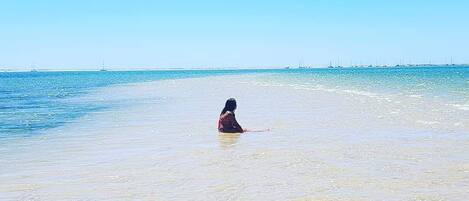 Plage à proximité, chaises longues, serviettes de plage