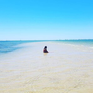 Plage à proximité, chaises longues, serviettes de plage