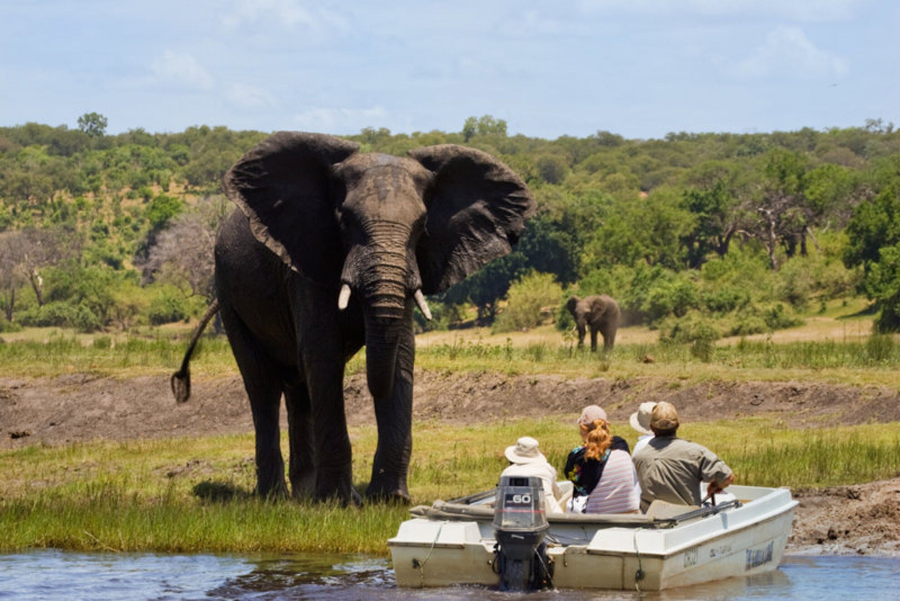 A boat with two people and an elephant by the water.