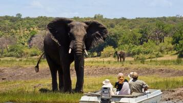 Un bote con dos personas y un elefante junto al agua.