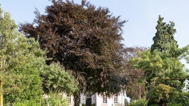 A garden pathway leading to a white building with a black gate. - Exklusive Ferienzimmer Gut Heidefeld (Bocholt)