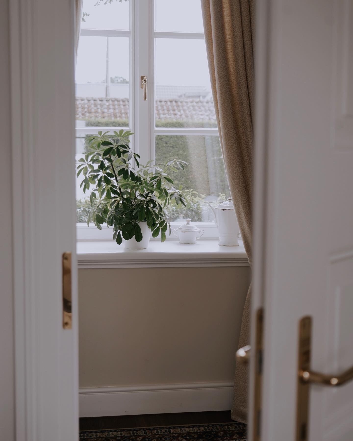 A view through a window with a potted plant and a white door.