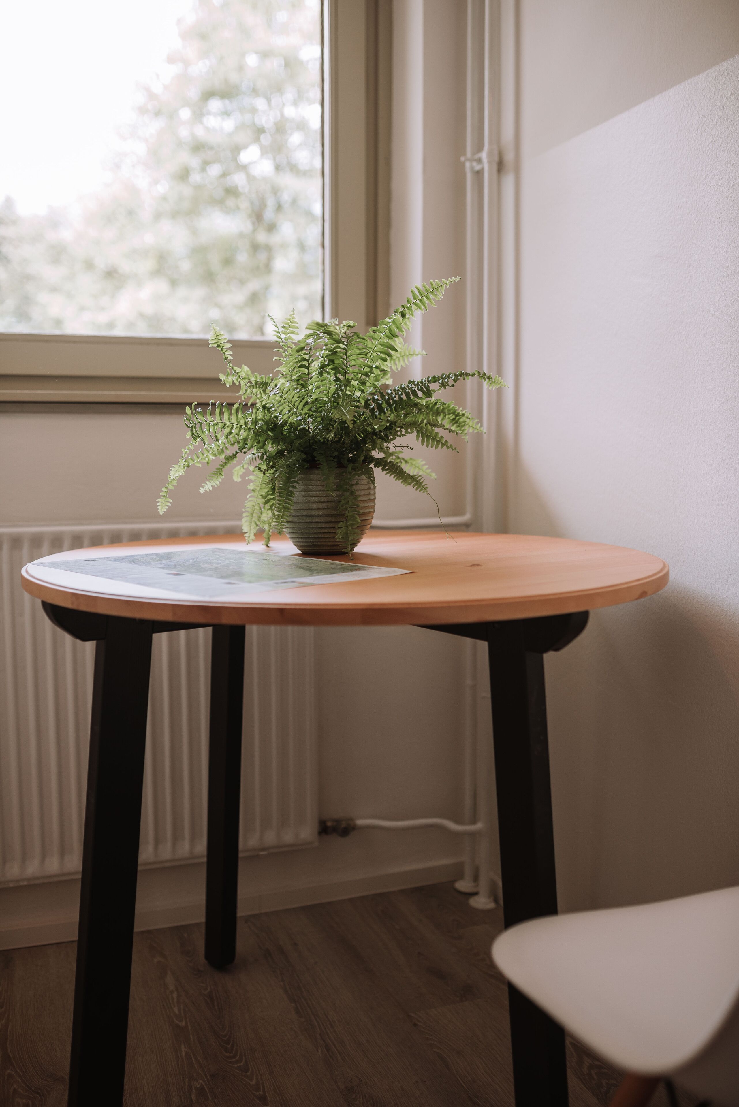 Detalle del interior