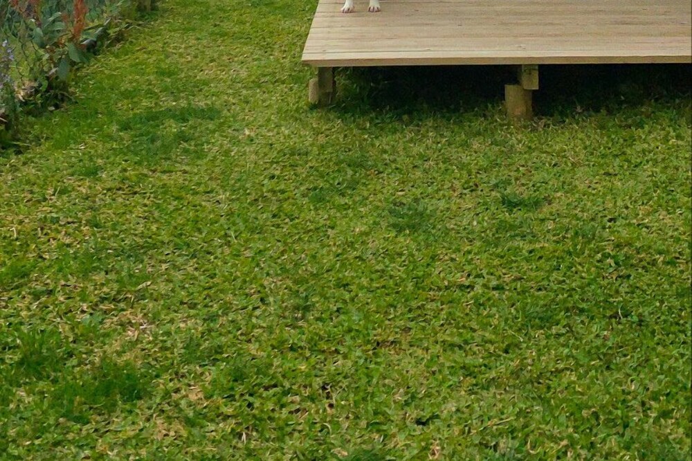 Cerquido Village & Spa