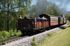 Imagen sin descripción, 4 de 36, botón