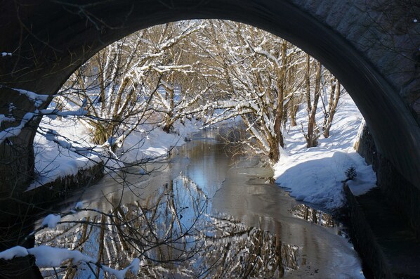 Imagen sin descripción, 1 de 36, botón